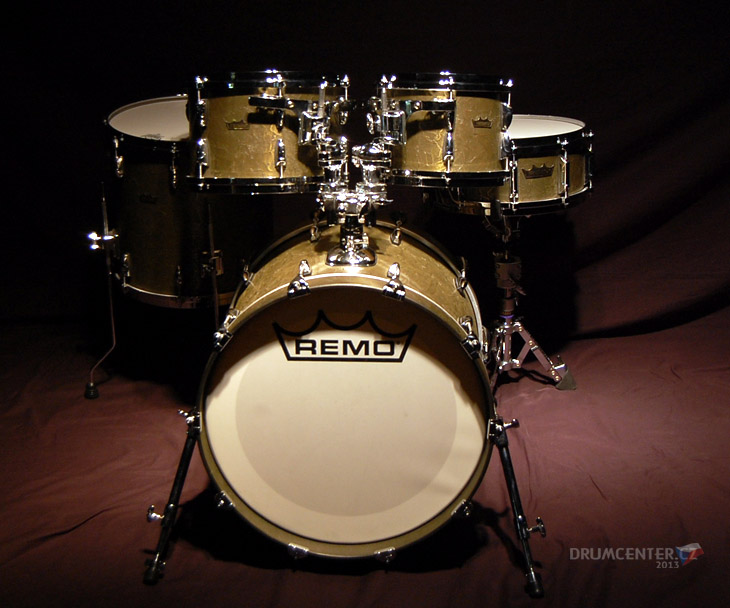 Remo gold crown snare store